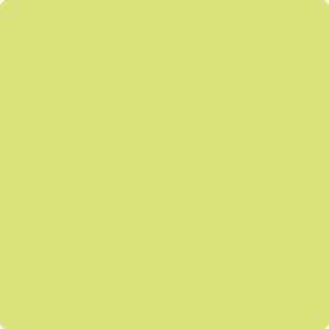 396 Chic Lime by Benjamin Moore
