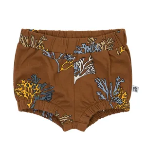 Bloomer Brown Coral