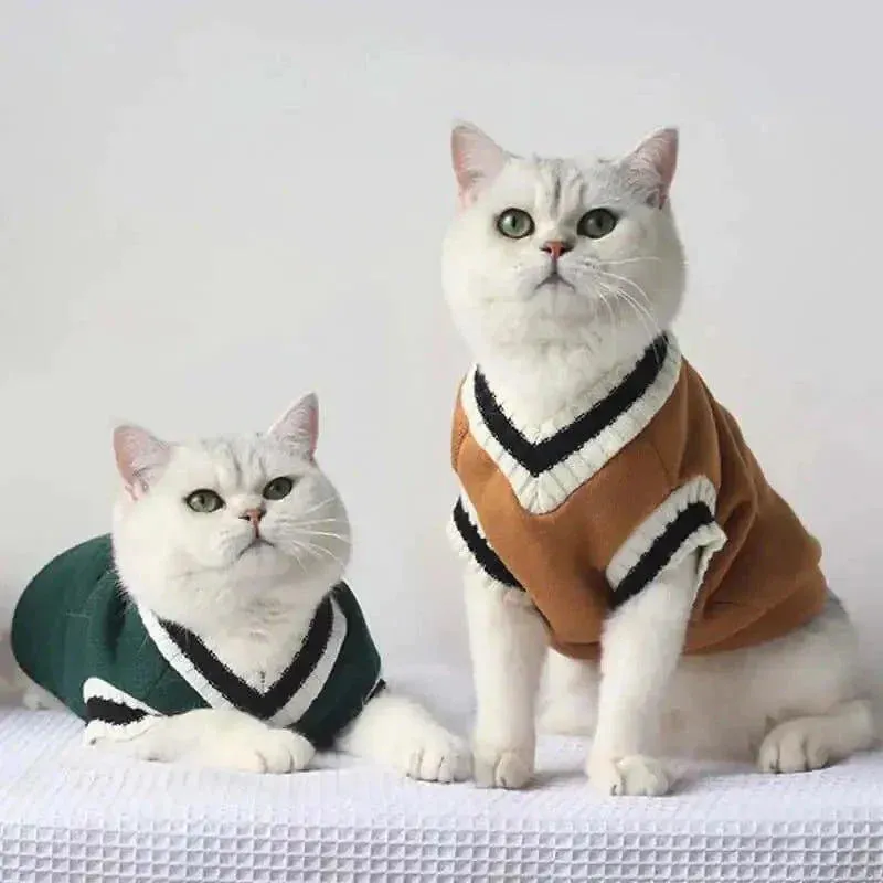Chic Winter Sweater Pullovers: Luxurious Winter Elegance